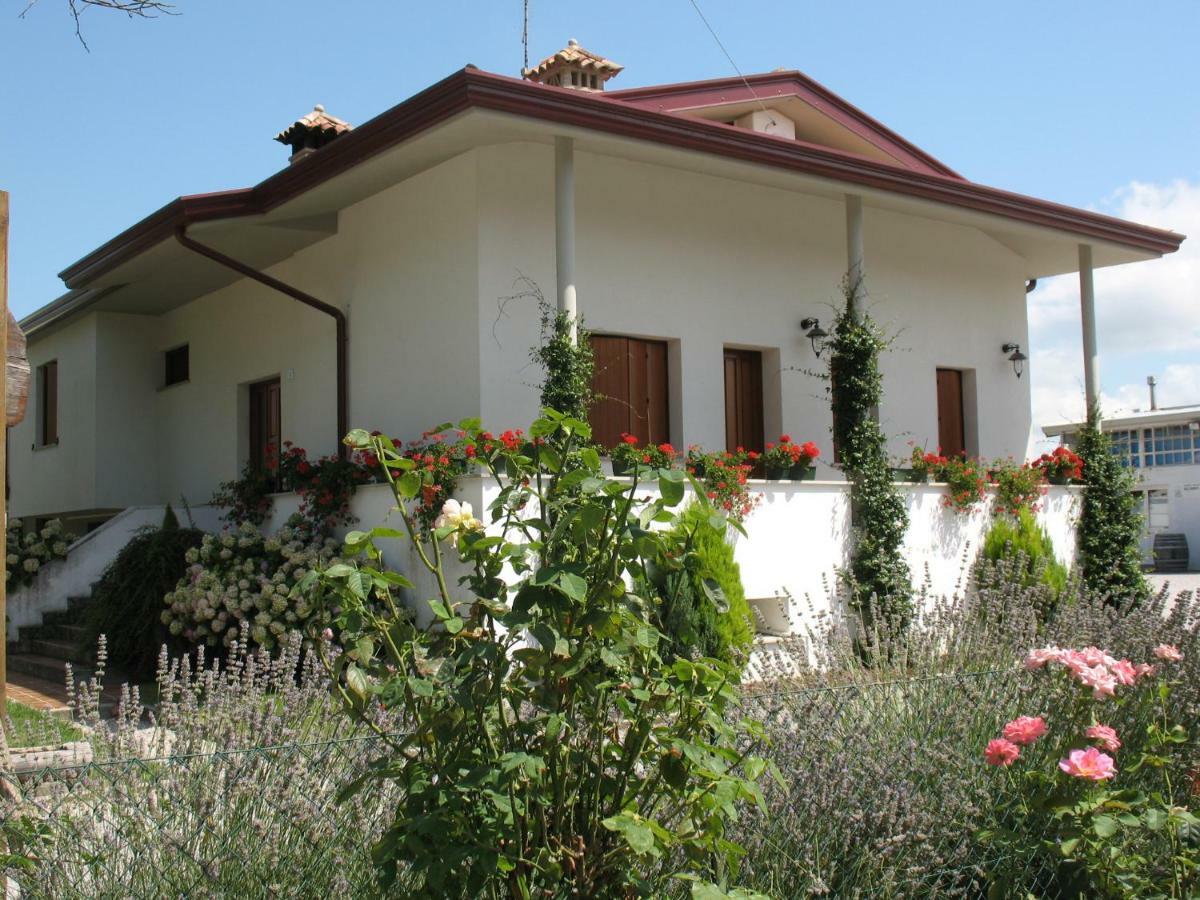 Agriturismo Ballaminut Terzo d' Aquileia 외부 사진